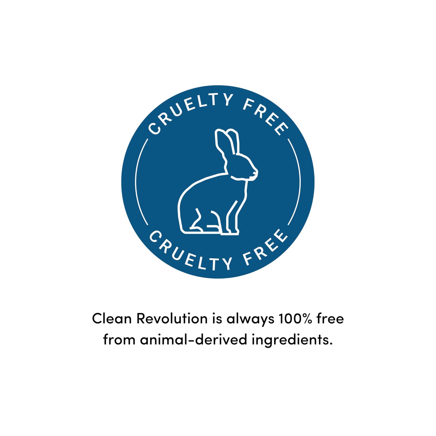 Clean Revolution Ready to Use Foaming Hand Soap| Three Pack | Jumbo 15oz Bottles | Gentle, Moisturizing & Eco-Friendly | Real Essential Oils | Fragrance Free | 45 Total Fl Oz, Clear