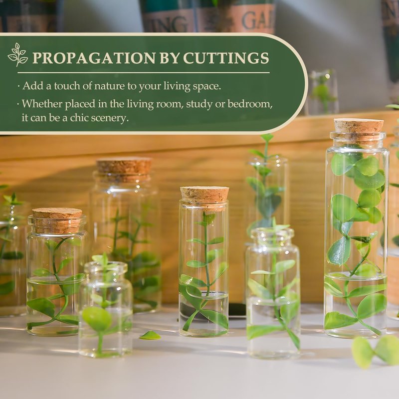 60-Pack 0.68 oz (20 ml) Glass Bottles with Cork Stoppers – for Spell Bottles, Spice Jars, DIY Party Favors, Travel Memories & Plant Propagation – Empty Recyclable Containers for Crafts, Kitchen,Décor