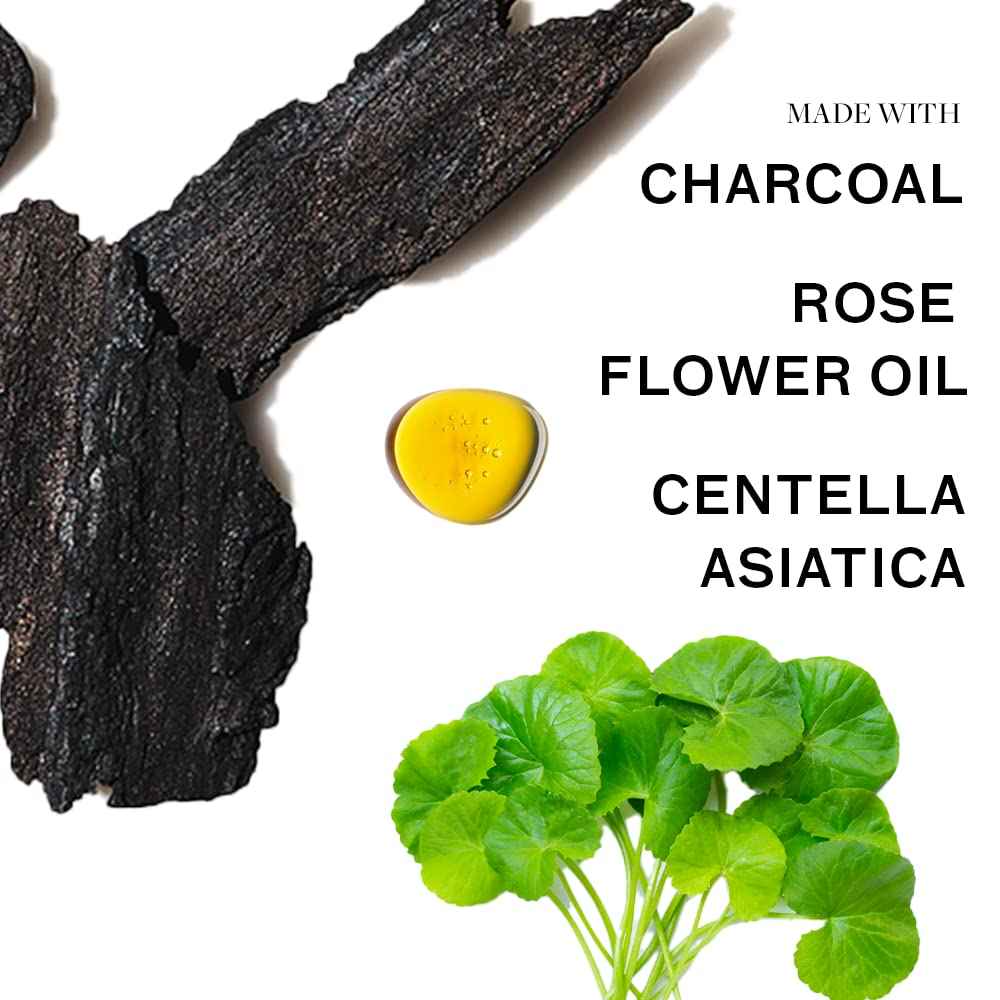 Lumin Charcoal Face Wash for Men, Daily Detox Cleanser, Hydrating Facial Wash w Activated Charcoal, Exfoliates & Unclogs Pores, Oil Control, Refreshing Skincare for Normal & Sensitive Skin, 2 Pack