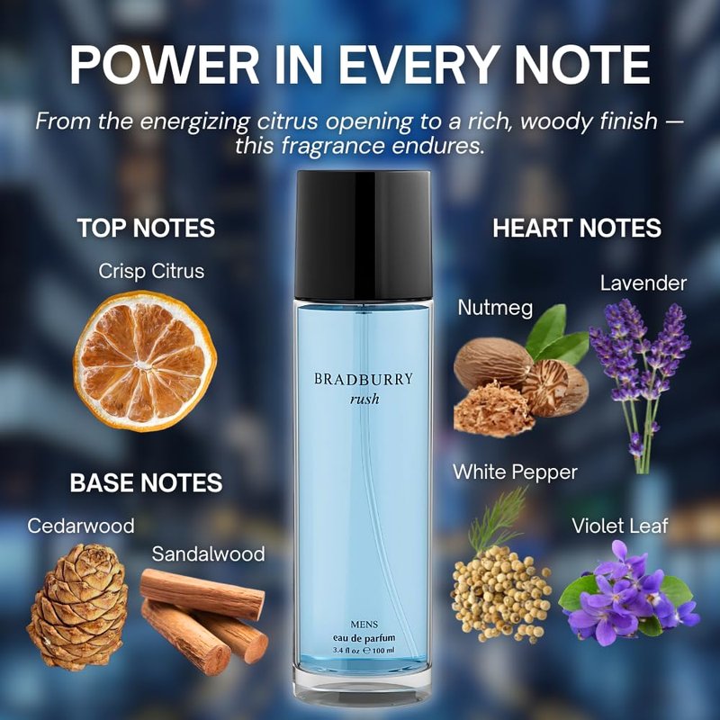 Sandora Fragrances Perfume for Men –INSPIRED by A WORLD RENOWNED MEN’S PERFUME – Artemisia, Violet Leaf, Nutmeg, Vetiver – Fresh, Spicy, Elegant, Long-Lasting Eau De Parfum 100ml (3.4 fl oz)