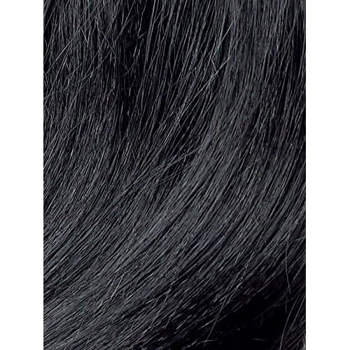 Zury SiS Synthetic Slay Lace Front Wig - H BIA (1B Off Black)