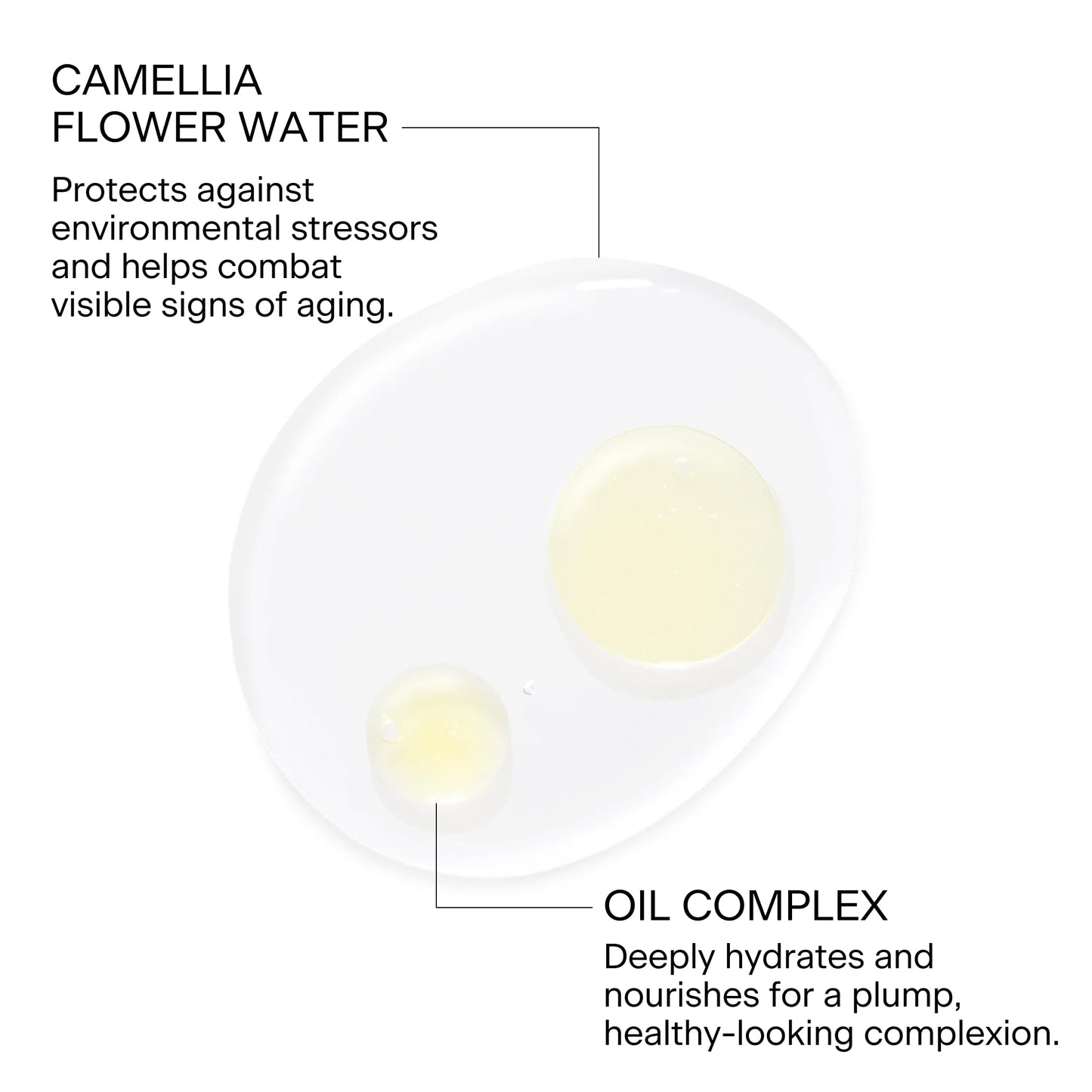 FEMMUE Dual Essence Camellia Hydrating Face Toner Mist (1.18 oz Travel Size) | Light & Refreshing Facial Moisturizer | Korean Skincare