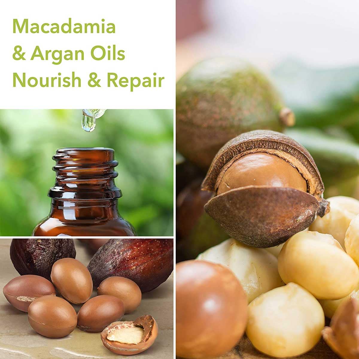 Macadamia Professional Nourishing Repair Hair Shampoo - Hydrating Argan Oil Cleanser for Damaged Dry Hair Care, Paraben & Sulfate Free, 10 fl oz