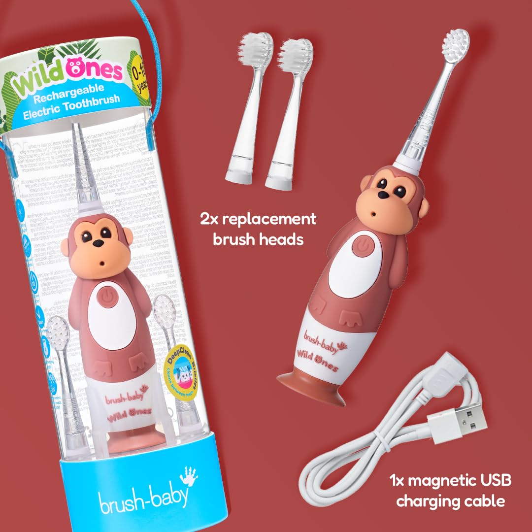 BrushBaby - WildOnes - Kids Rechargeable Electric Toothbrush, Ages 0-10 - Koala Design with Flashing Lights - DeepClean Bristles for Superior Cleaning - 2 Replacement Brush Heads, 1 USB Cable