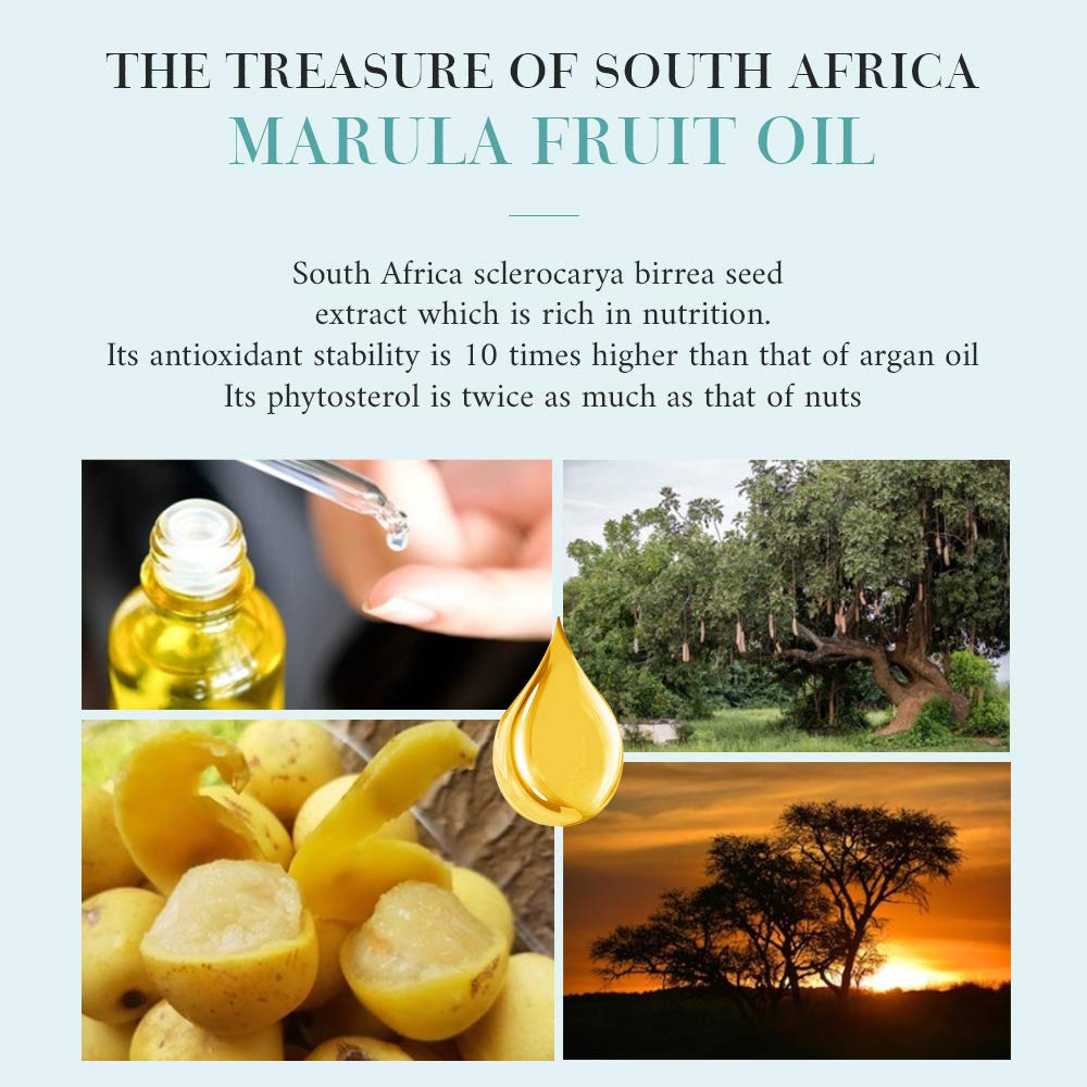 OPPEAL Travel Size 2in1 Shampoo & Conditioner with Marula Oil - 1.05 oz - Hotel Size for Use in Vacation Rental/Guest Room-SLS and Paraben Free-Ambergris Scent(100 Pack)