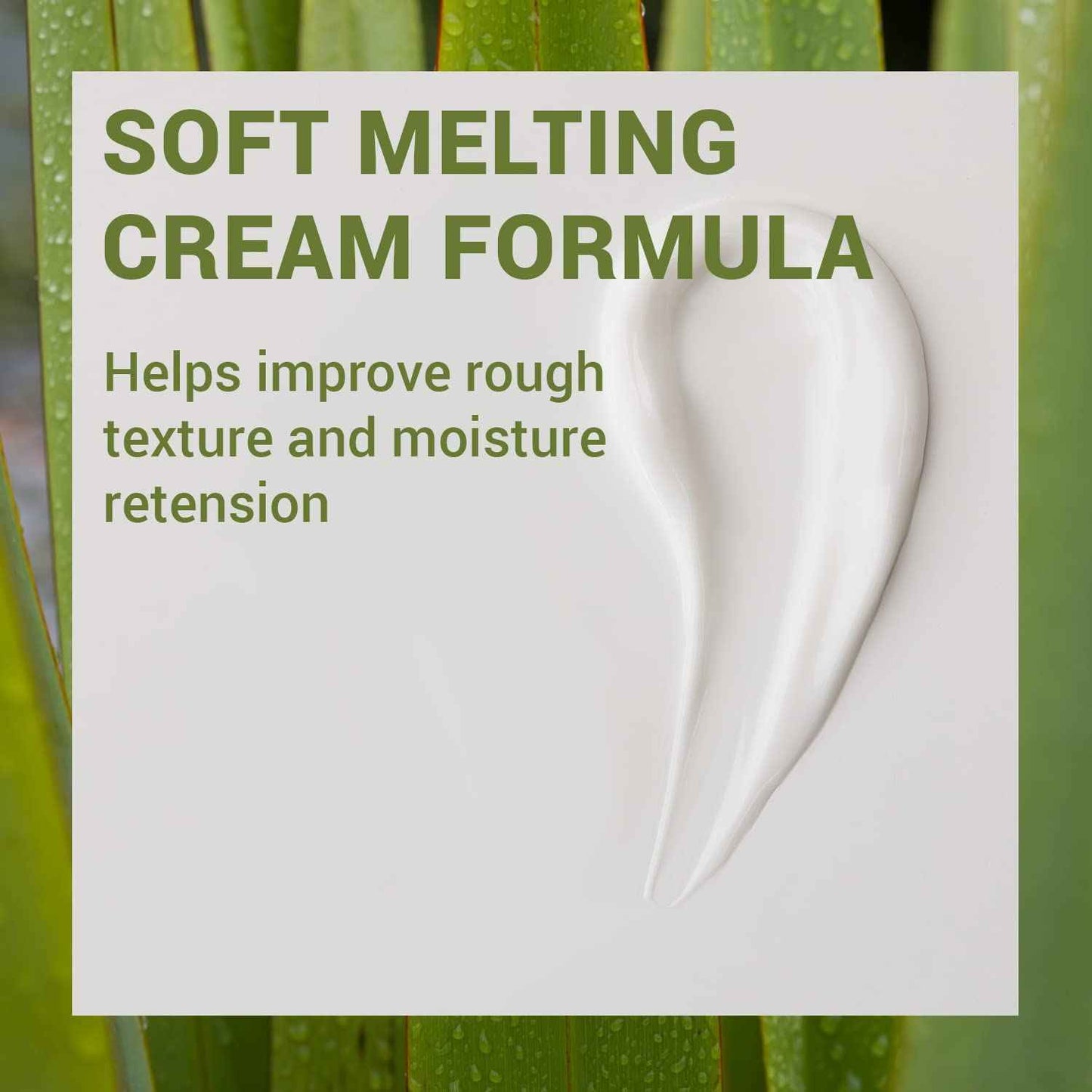 THESAEM Urban Eco Harakeke Cream 1.69oz. – Vegan Face Moisturizer with Harakeke Extracts and Hyaluronic Acid - Soft Melting Texture Facial Cream for Hydration and Intense Nourishment