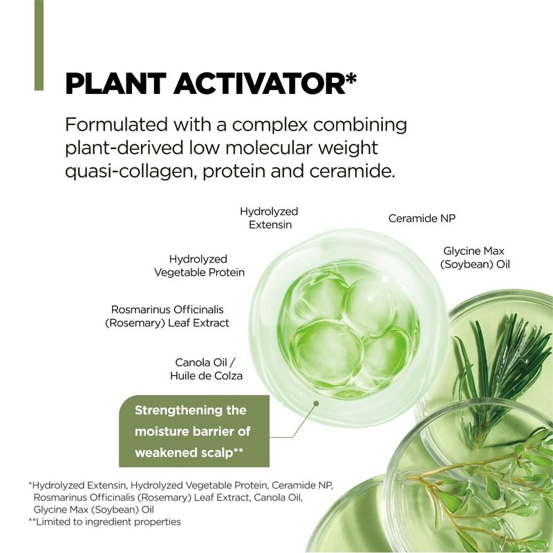 AMOS PROFESSIONAL Botanic Calm Activating Shampoo l Vegan Scalp & Hair Strengthening Shampoo with Rosemary and Biotin, Sulfate Free, 16.9 fl. oz.