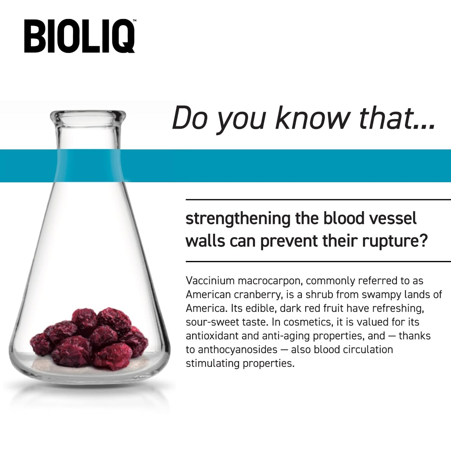 Bioliq - Dermo Strengthening & Protective Cream for Capillary Skin SPF 15 - With Vaccinium Macrocarpon Fruit Extract & Shea Butter - 30ml