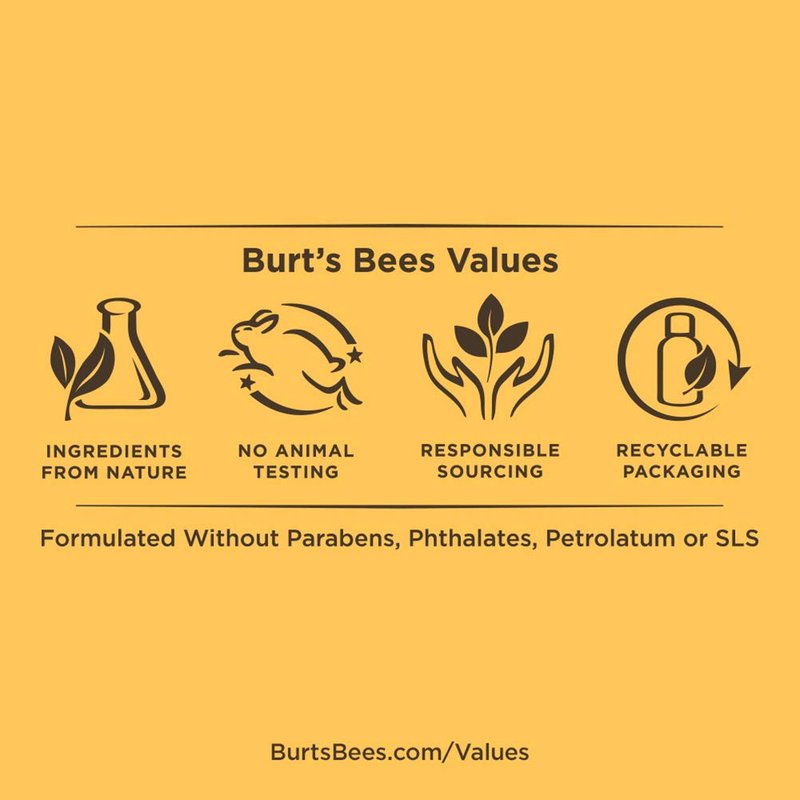 Burt's Bees Lip Care Set - Natural Moisturizing Balm for Soft Lips | 4-Pack