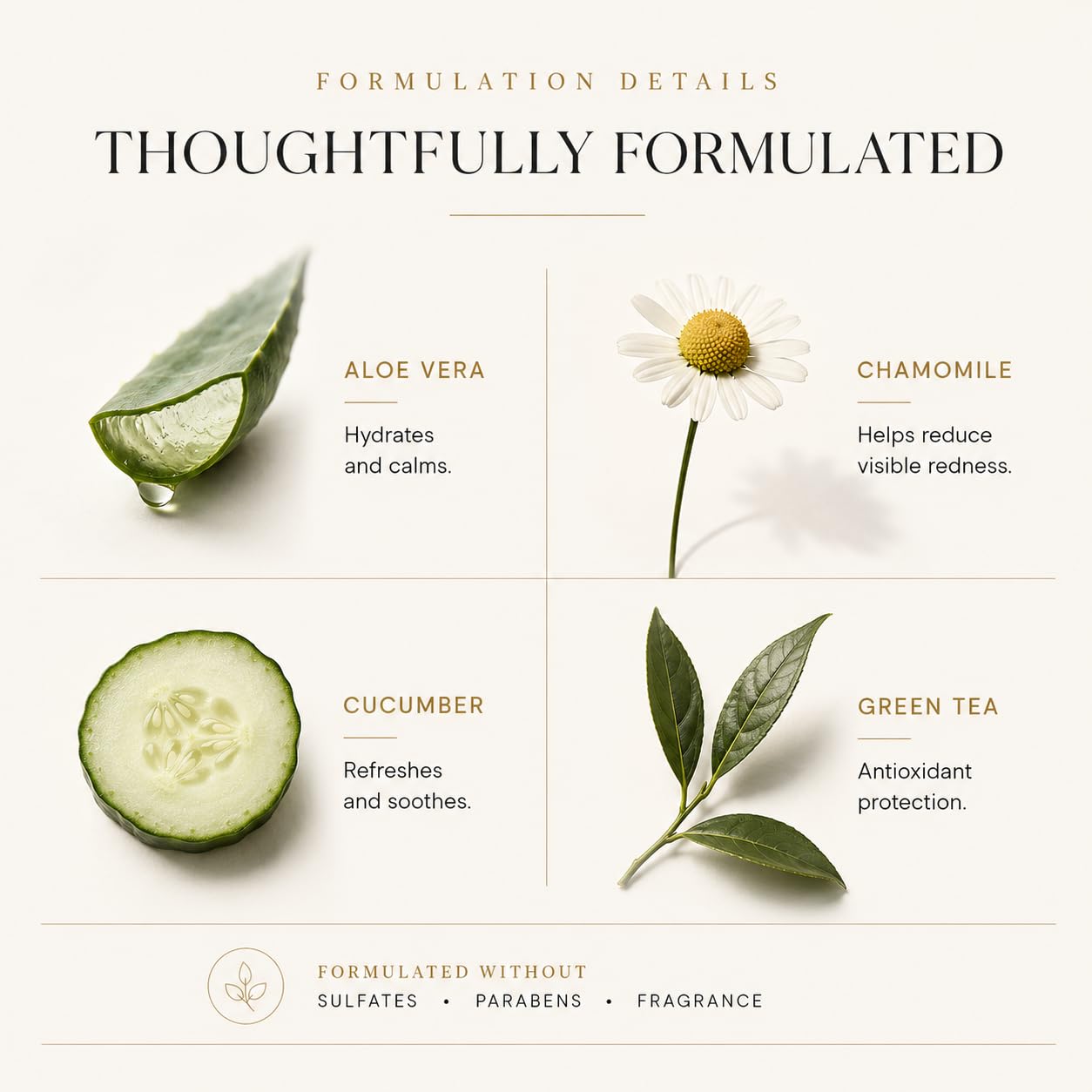 Morning Person Antioxidant Plant Protein Face Cleanser | Hydrolyzed Kale, Carrot & Lemon Proteins + Green Tea | Gentle Daily Cleanser | Sulfate-Free, Fragrance-Free Beauty