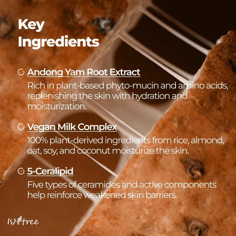 IsNtree Yam Root Vegan Milk Cream 80ml, 2.7 fl.oz | Nourishing moisturizer | vegan milk moisturizer | Korean Skincare