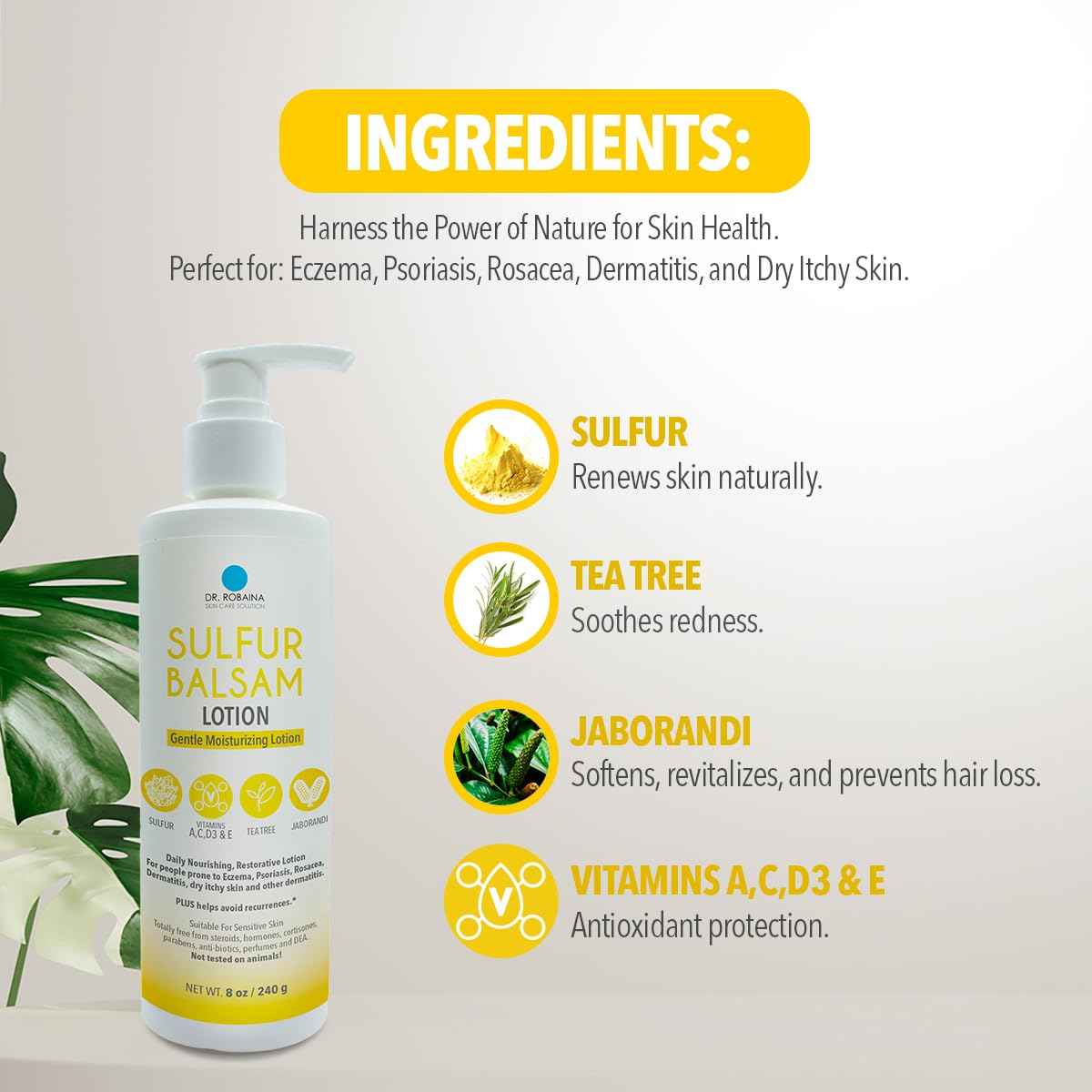 Dr. Robaina Sulfur Balsam Lotion – Lightweight Moisturizer for Dry, Flaky & Itchy Skin – Calms Redness, Supports Skin Barrier & Locks Hydration – Shea Butter & Tea Tree – 8 fl oz, USA Made