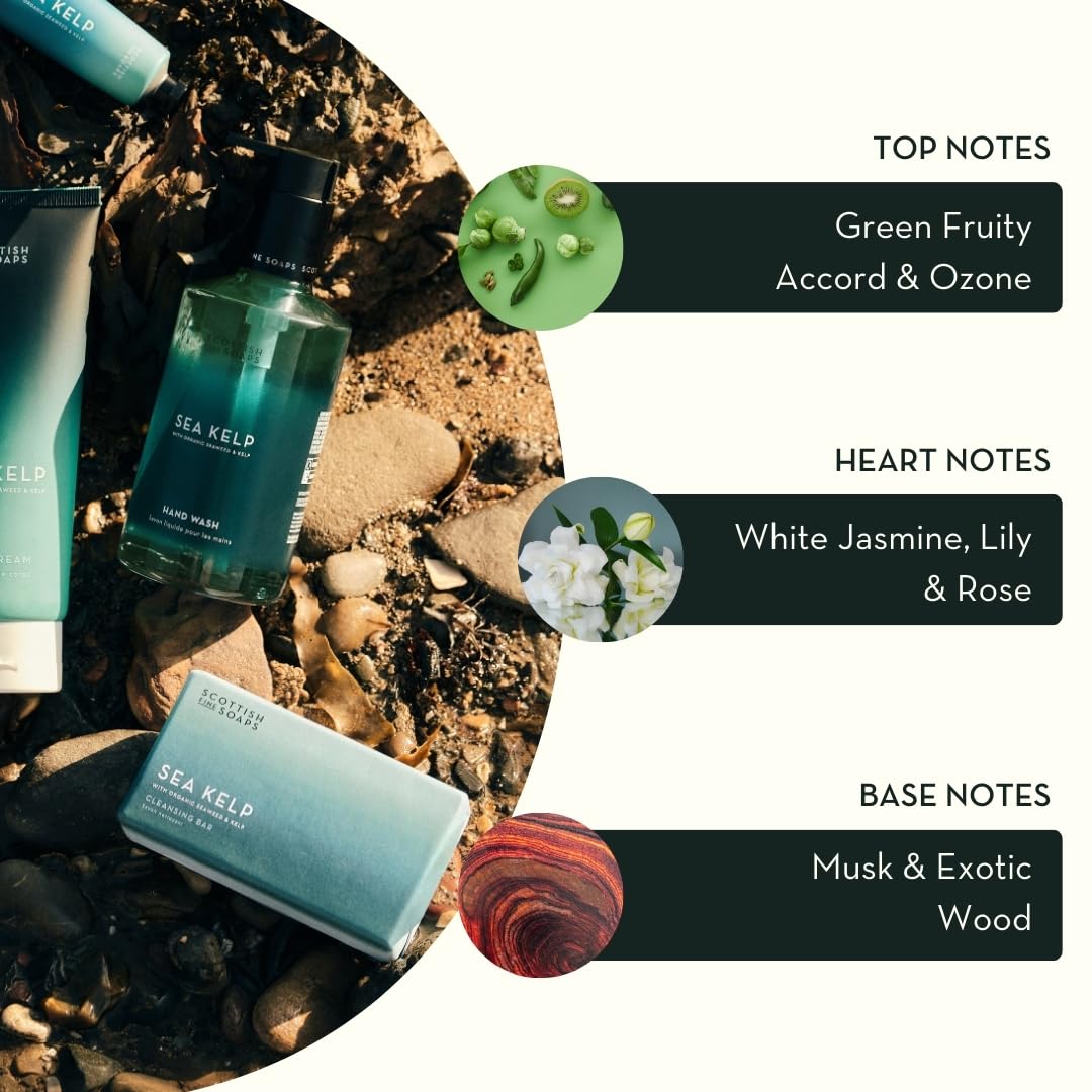Scottish Fine Soaps Sea Kelp Hand Wash Refill 750ml – Eco-Friendly Hand Wash Refill with Refreshing Sea Kelp Extract