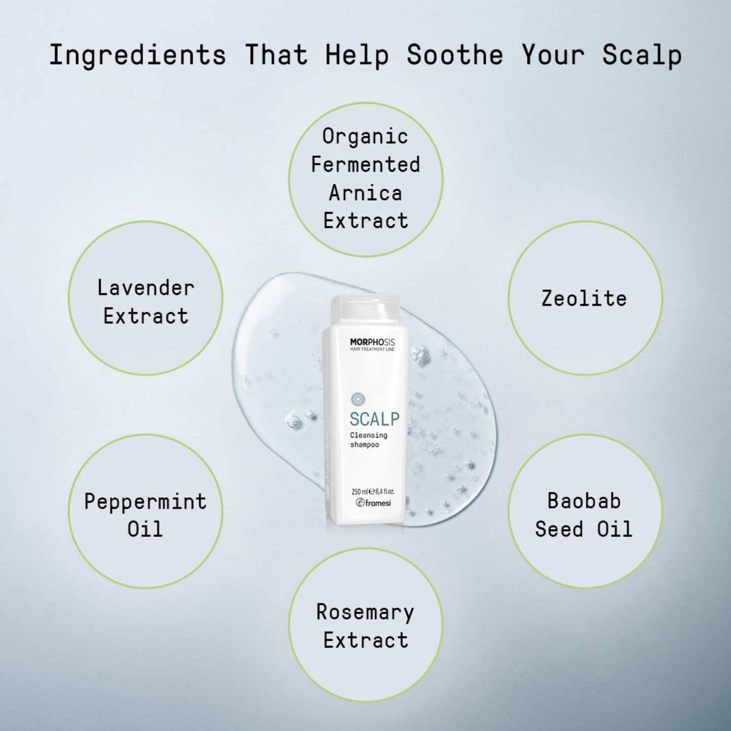 FRAMESI Morphosis Scalp Cleansing Shampoo 8.4 fl oz, Cleanses Hair and Scalp, Clarifying, Removes Buildup, Natural Ingredients, Color Safe