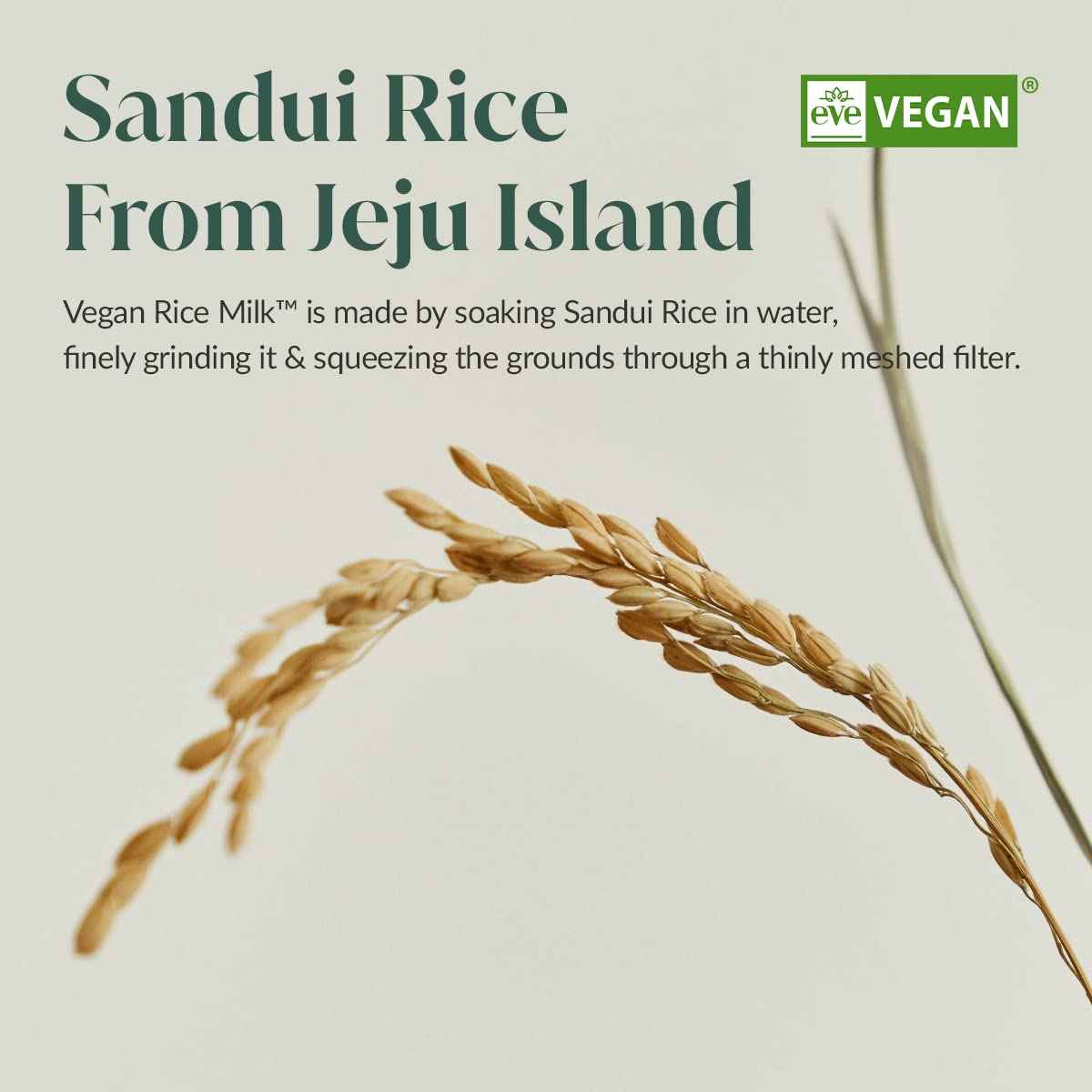 GOODAL Mild Vegan Rice Milk Moisturizing Cream 2.36 fl oz.