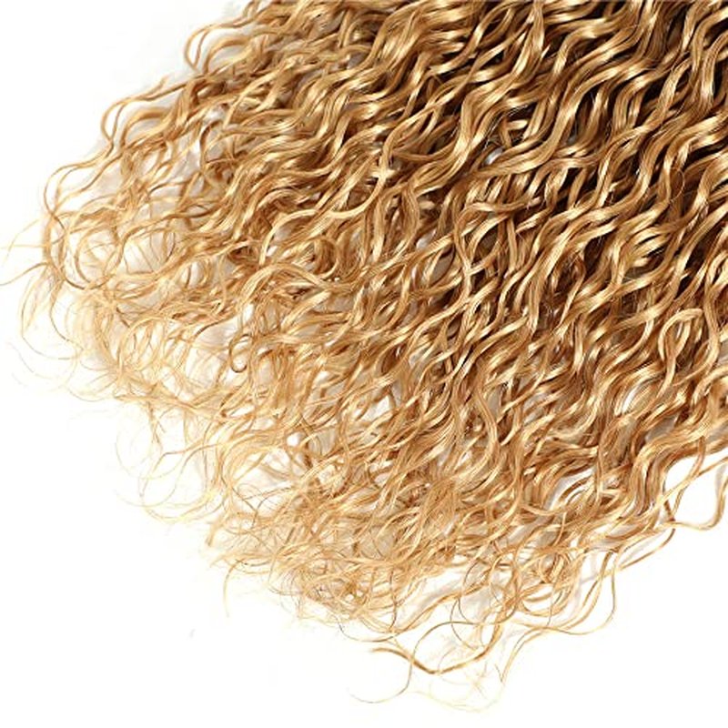 #27 Blonde Bundles Human Hair Kinky Curly Bundles 16 18 20 Inch Honey Blonde Kinky Curly Bundle Human Hair Extensions Unproceesed Virgin Hair 100 Gram Per Bundle 3 Bundle