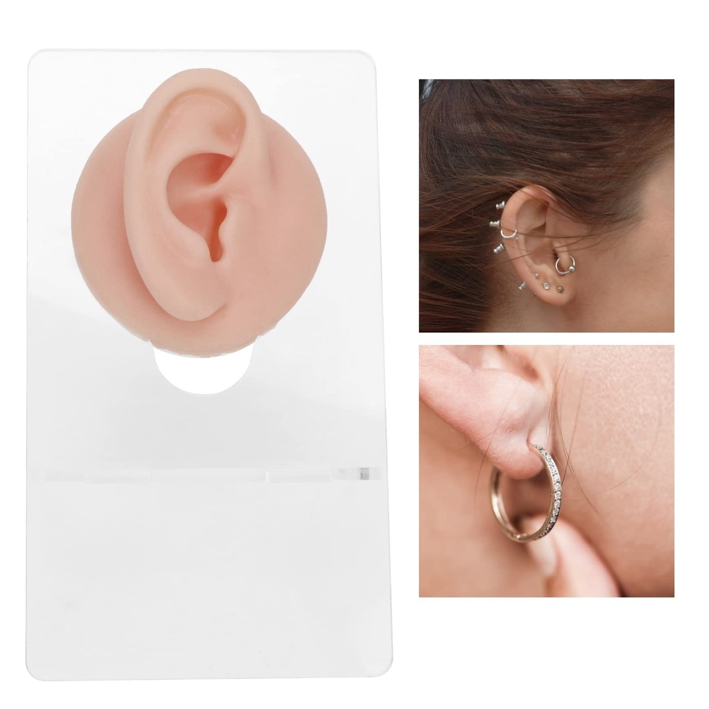 Chazcool Body Piercing Model, Piercing Practice Kit, Silicone Body Parts for Jewelry Display Teaching Tool Novice Piercer, Silicone Body Piercing Practice Model for Piercers