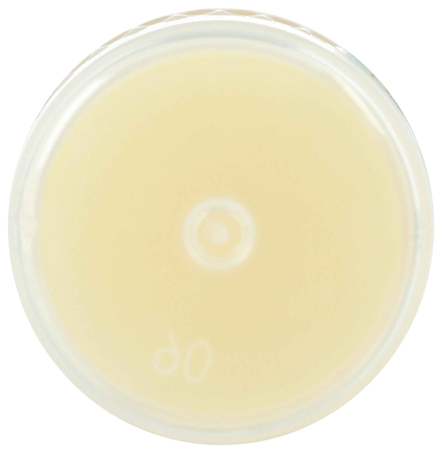 Los Poblanos Lavender Peppermint Lip Balm, 0.28 Oz