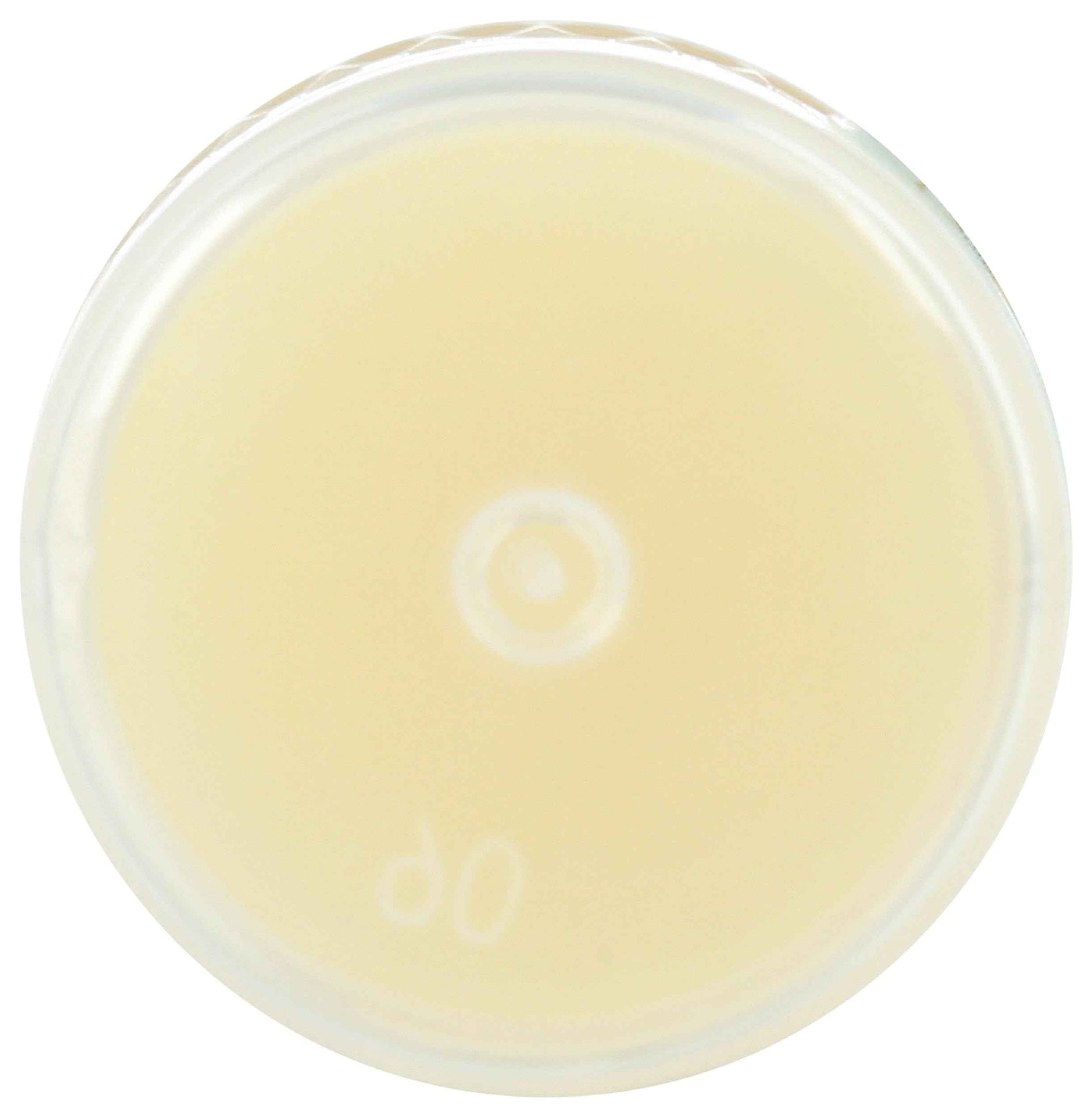 Los Poblanos Lavender Peppermint Lip Balm, 0.28 Oz