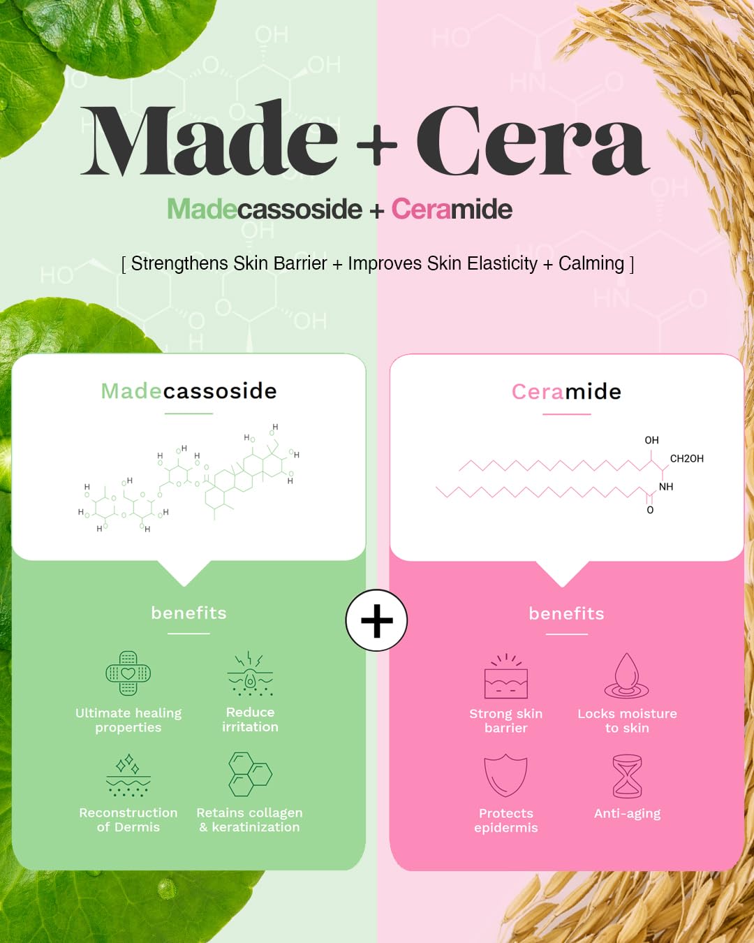 SKINRxLAB Made Cera Cream - Acne & Redness Relief Face Moisturizer, Sebum Control, Improving Skin Barrier with Ceramide and Madecassoside, Anti-Aging and Pore Minimizing Face Cream, 1.69 fl.oz.