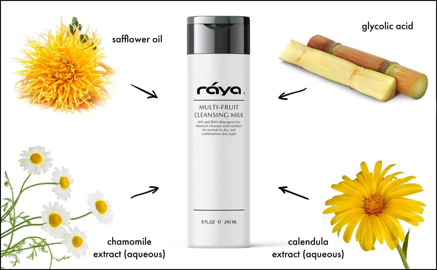 Raya Multi-Fruit Facial Cleansing Milk with AHA and BHA 8 oz (G-154) | Exfoliating Soap-Free Cleanser and Make-Up Remover for Dry and Combo Skin | Made with Multi-Fruit Alpha and Beta Hydroxy Acids