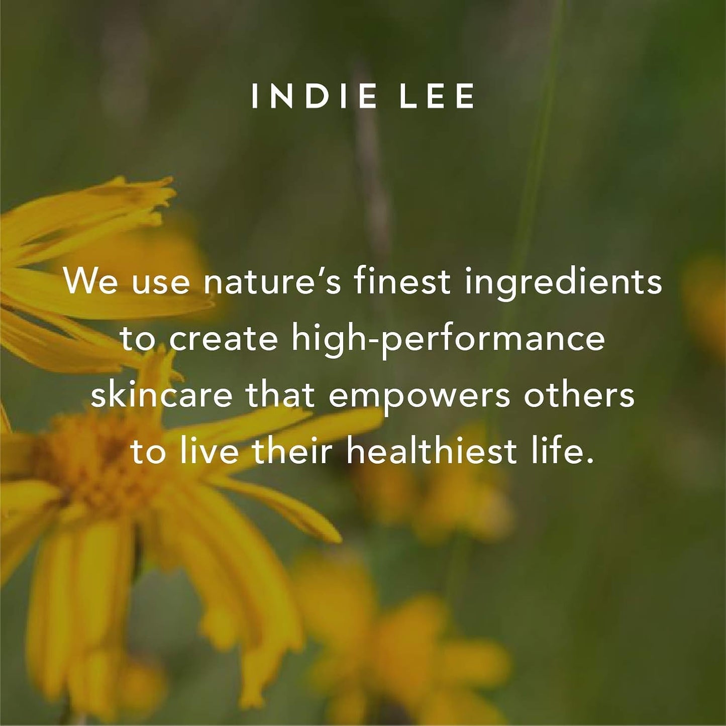 Indie Lee Retinol Alternative Cream - Anti-Aging Rambutan & Paracress Moisturizer for Fine Lines | 45ml