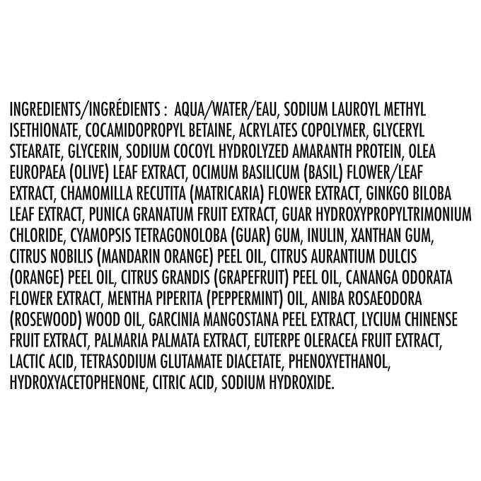 Kirkland Signature Liquid Body Wash, Natural Citrus, 27 fl oz, 2-count (Pack of 2)