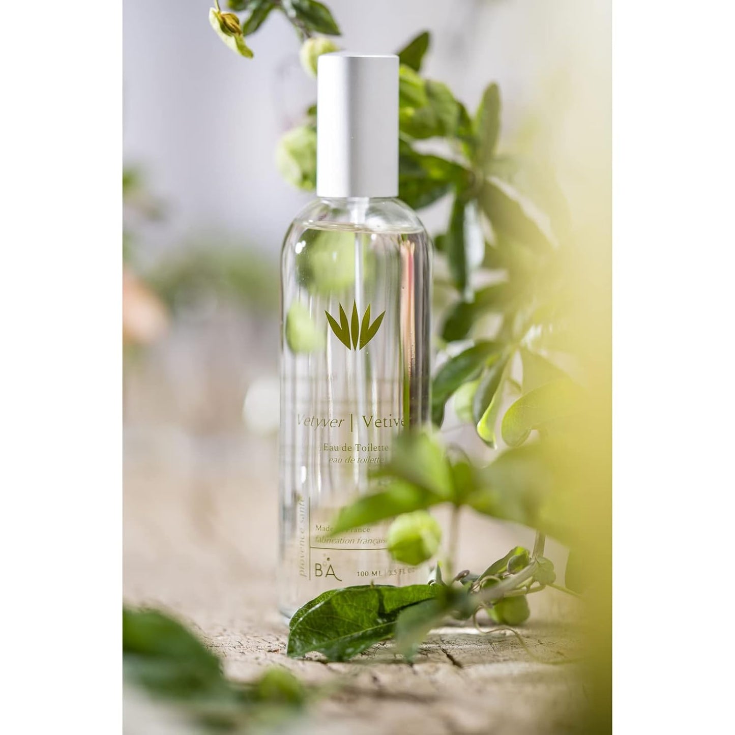 Provence Sante Eau de Toilette Spray - Vetiver Scent Luxury Perfume - Elegant Gift - 3.5 Oz