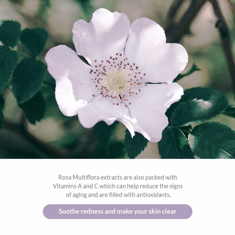 Dr.Althea Premium Rosa Modeling Mask - Measuring spoon and spatula included, 25g x 5 ea, Cooling effect, Hydration, Skin barrier enhancement. Soothe the redness. Vegan & Cruelty free Modeling Mask