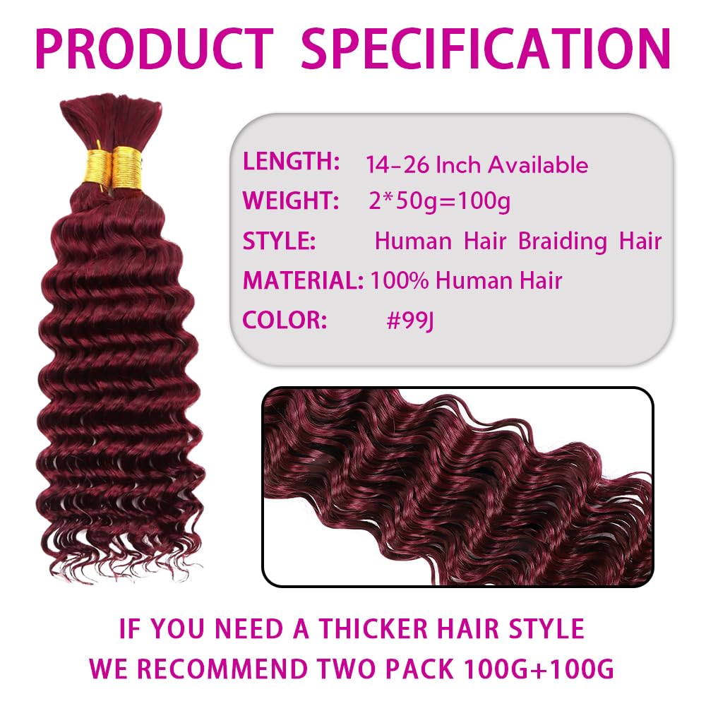 Burgundy Human Braiding Hair 14 Inch Deep Wave Bulk Human Hair for Braiding No Weft 2 Bundles 100g Curly Braiding Hair Brazilian Curly Human Hair Extensions for Boho Braids 99J Red Braiding Hair