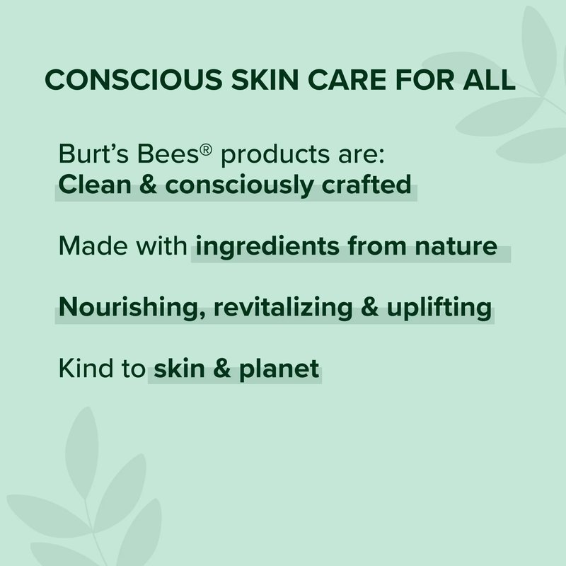 Burt's Bees Lip Balm, Ultra Conditioning with Kokum Butter, 0.15 oz (Pack of 12)