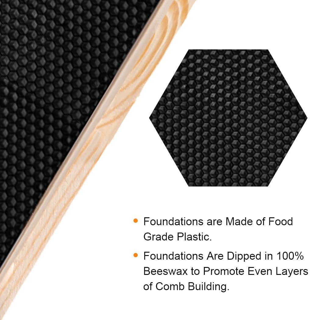 Deep Brood Beehive Frames with Wax Foundation, 10 Pack Honey Bee Frames with 100% Beeswax Coated Food Grade Foundation Sheets, 9-1/8-Inch (Black)