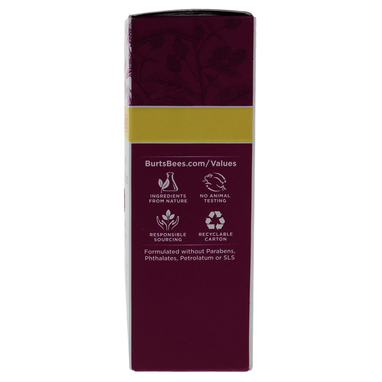 Burt's Bees Renewal Intensive Firming Serum with Bakuchiol Natural Retinol Alternative – 1 ounce (Packaging May Vary)