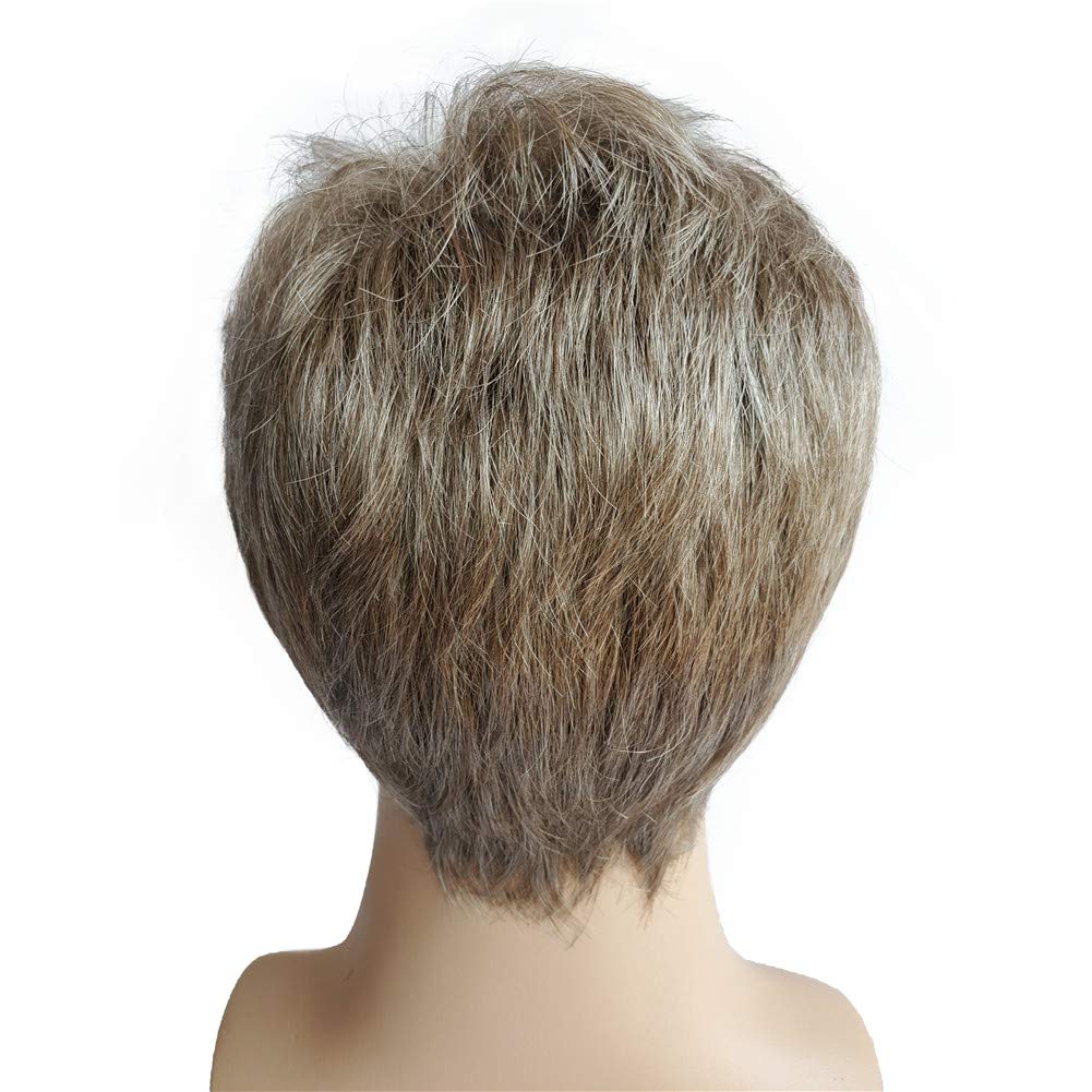 Aimole Mens Wigs Short Straight Hair Brown mix Sliver Natural Synthetic Full Wig