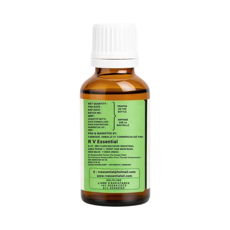 R V Essential Pure Thuja Essential Oil 30ml (1.01oz)- Thuja Occidentalis (100% Pure and Natural Steam Distilled)