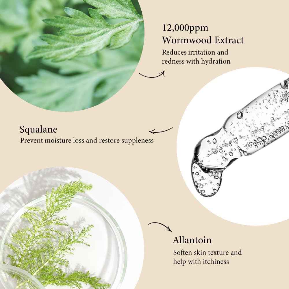 Fraijour Original Wormwood Calming Watery Cream – Korean Lightweight Gel Moisturizer for Oily, Combination & Sensitive Skin, Hydrating Aloe & Squalane, Non-Greasy, Quick Absorbing, 3.38 oz.