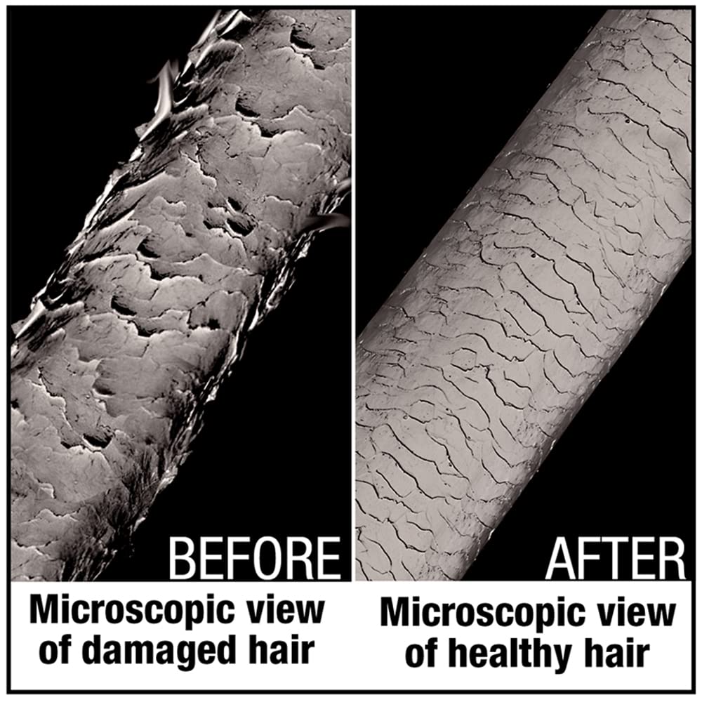 AGADIR Hair Shield 450 Spray Treatment, 6.7 Fl Oz