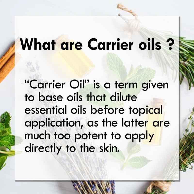 Deve Herbes Meadowfoam Oil (Limnanthes alba) with Glass Dropper | Cold Pressed | Pure | Natural | For Diluting Essential oils | Hair, Skin & Massage | Non-Sticky| Lightweight| Unisex | 100ml (3.38 oz)