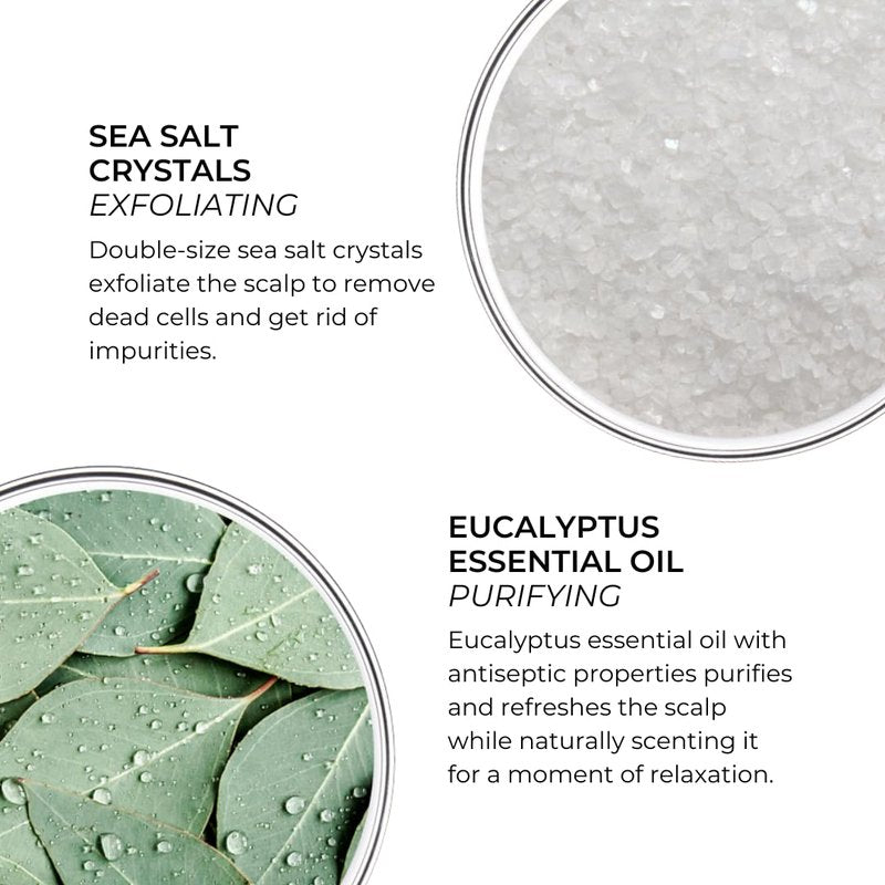 PHYTO Scalp Solutions Purifying Scrub - Exfoliating Sea Salt & Eucalyptus for Oily Scalp | 7.05 oz Deep Cleanse