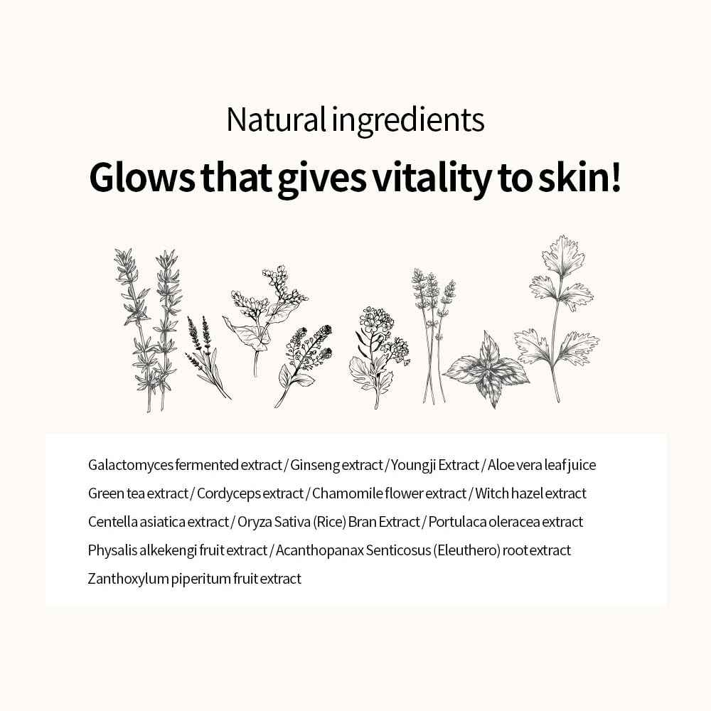 SECRETKEY Starting Treatment Essence, Nourishment & Hydration, Wrinkle care, Contained 95% Galactomyces Ferment Filtrate 5.24 fl. Oz. / 155ml, Natural Ingredients, Essence for Sensitive Skin