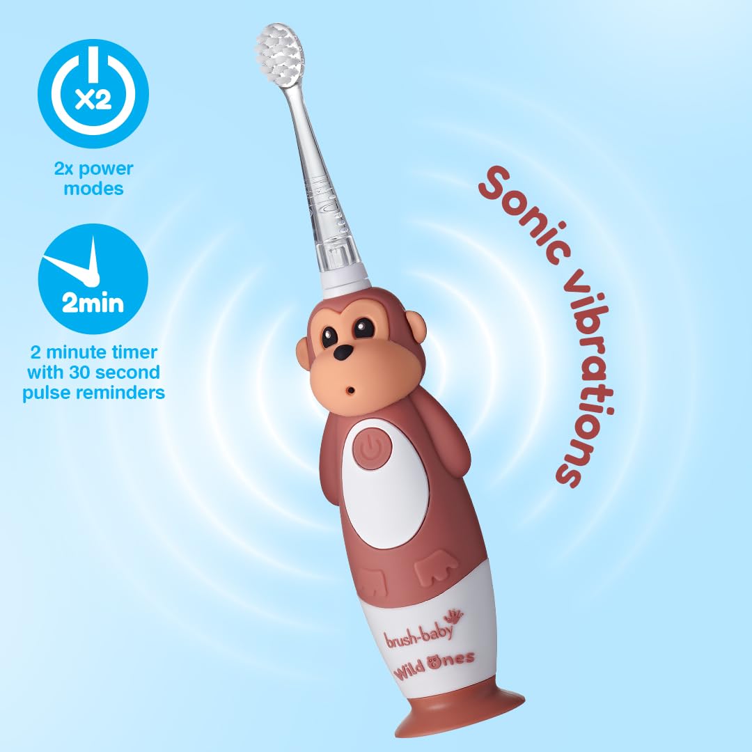 BrushBaby - WildOnes - Kids Rechargeable Electric Toothbrush, Ages 0-10 - Koala Design with Flashing Lights - DeepClean Bristles for Superior Cleaning - 2 Replacement Brush Heads, 1 USB Cable