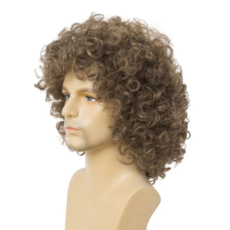 Salaibs Curly Brown Short Wigs for Men Natural Shaggy 80s Rocker Wig Synthetic Heat Resistant Hair Wig for Halloween Use