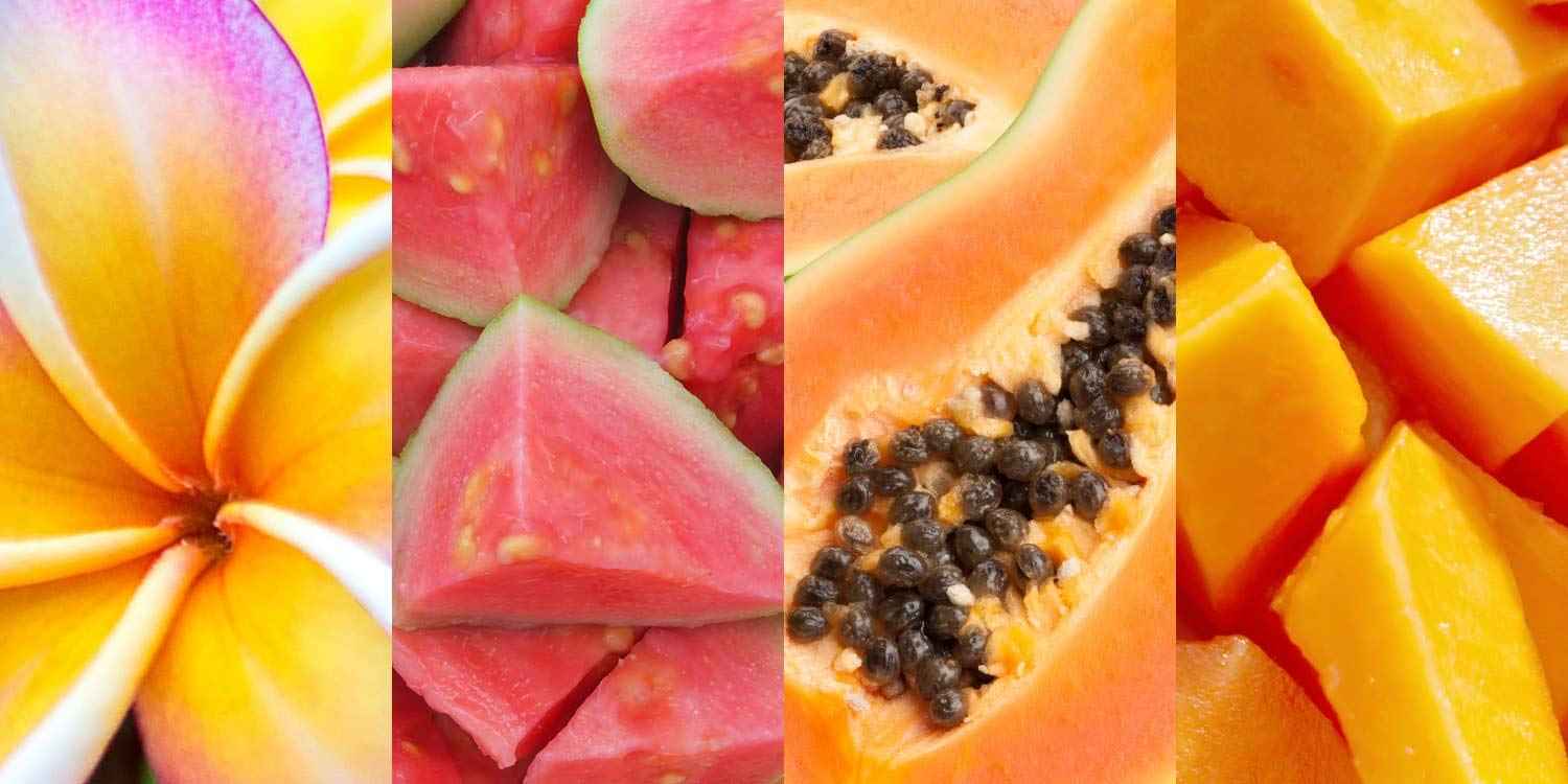 Hawaiian Tropic SPF15 Protective Dry Spray Oil