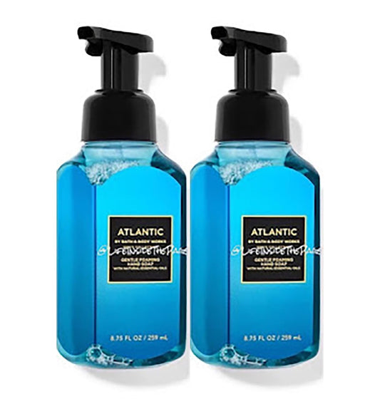 Bath and Body Works Gentle & Clean Foaming Hand Soap 8.75 Ounce 2-Pack (Sunny Lemon Orchard)
