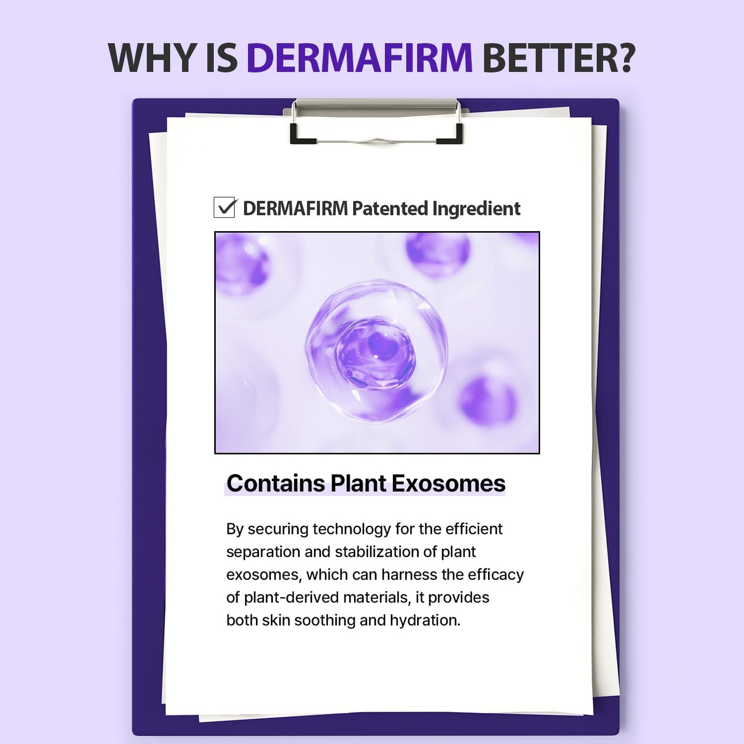 Dermafirm Hydra Repair Cleanser R4 Perilla Purple 150g – Hydrating and Soothing Facial Cleanser for Sensitive Skin