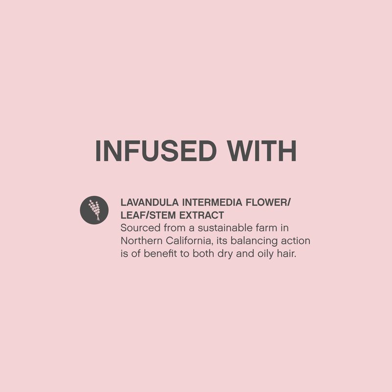 KEVIN.MURPHY ANTI.GRAVITY - Volumising & Texturising Lotion for All Hair Types - Hair Volume, Texture & Shine - Less Flyaways - Sulphate & Paraben Free - 150 mL / 5.1 fl oz