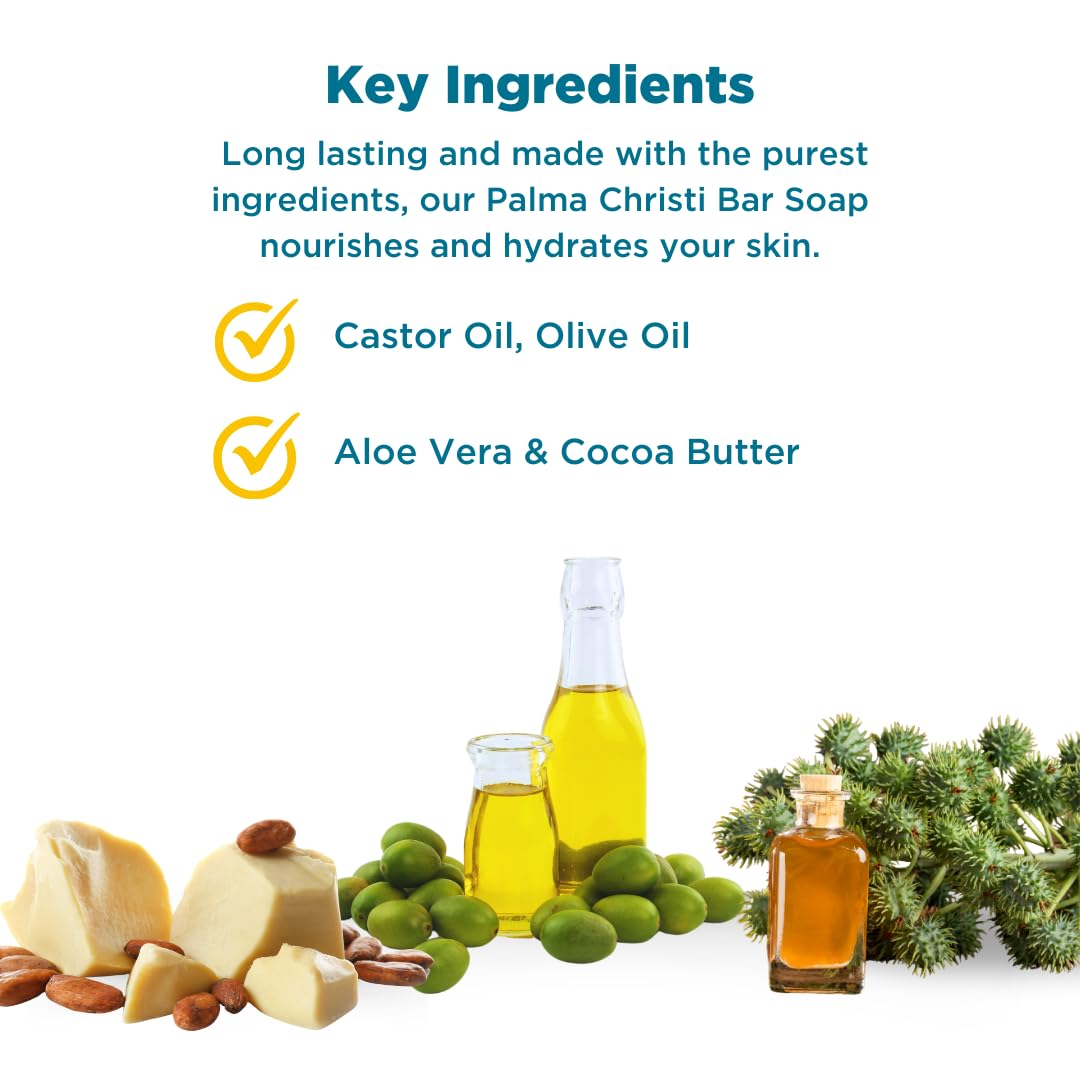 Baar Palma Christi (Castor Oil) Natural Cleansing Bar Soap, 6 bar set