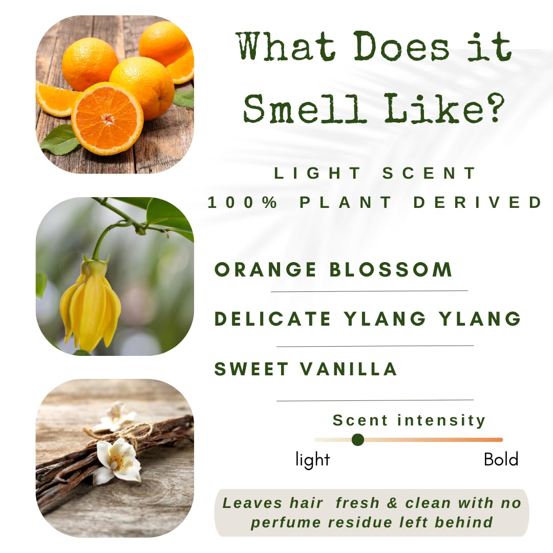 /liv/ Nature Conditioner Bars Detangle, Strengthen & Moisturize | Paraben Free & Sulfate Free | Travel Essentials | Vegan | Made In USA (Sweet Orange, Ylang Ylang)