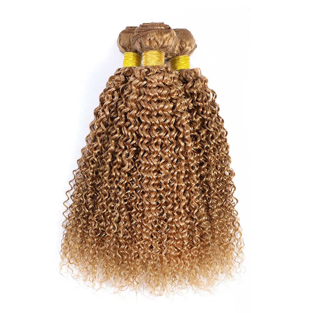 Color 27 Curly Wave Bundle Honey Blonde Human Hair 3 Bundles Kinky Curly Brazilian 100% Unprocessed Virgin Extensions Double Weft Bundle 8 10 12 Inch