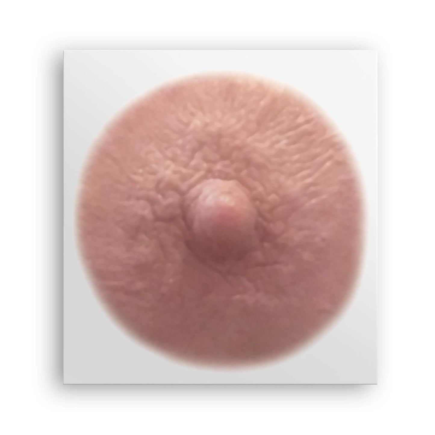 TataTattoos Realistic Temporary Nipple Tattoos - Non-Surgical Areola Covers for Mastectomy Recovery | Auburn, Medium (Pack of 10)